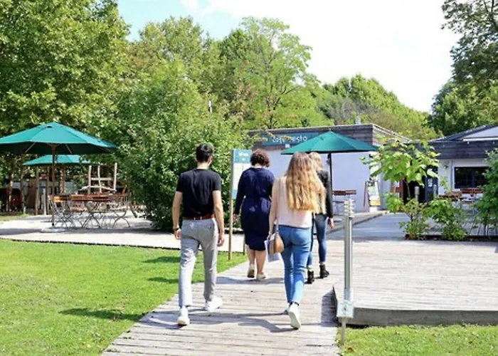 Citykamp キャンプ場